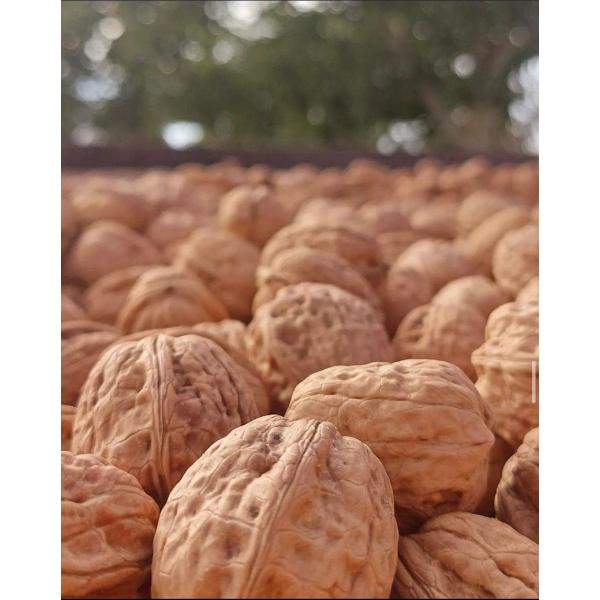 *Yerli Chandler Ceviz 1KG