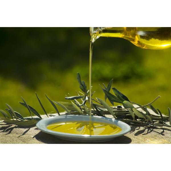 Erken Hasat Soğuk Sıkım Zeytinyağı 3 lt