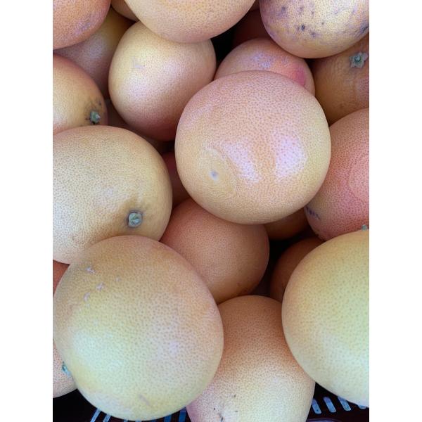 Greyfurt 1 kg kırmızı